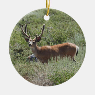 Ornament, hjort, natur, djur julgransprydnad keramik