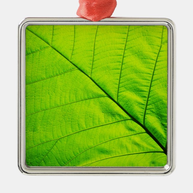 Ornament i grönt löv (Framsidan)