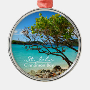 Ornament i St. John Cinnamon Bay Silver Ram