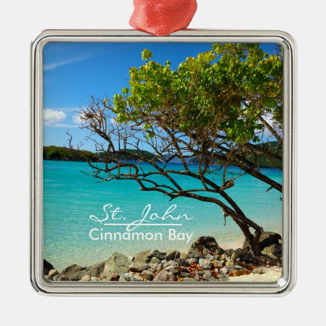 Ornament i St. John Cinnamon Bay Silver Ram (Framsidan)