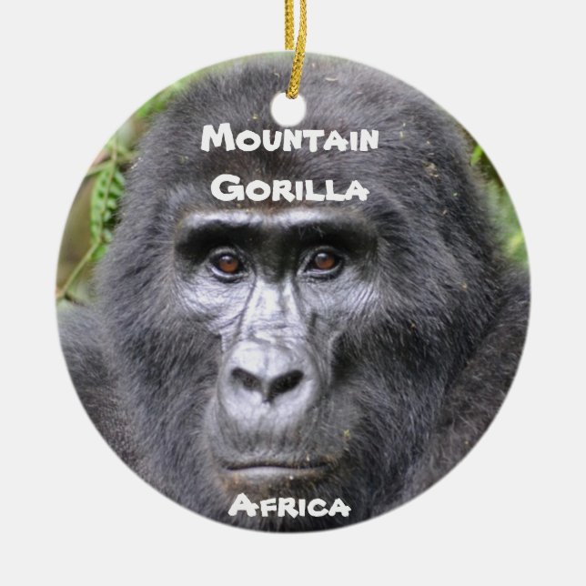 Ornament i utrotningshotade arter i serien (Framsidan)