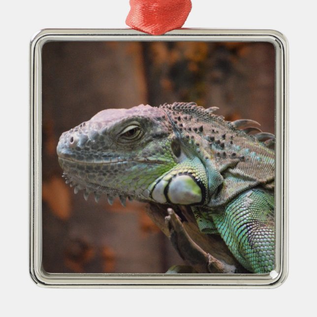 Ornament med färgstark Iguana-ödla (Framsidan)