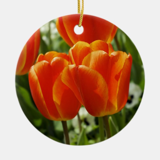 Ornament på tulips (Framsidan)