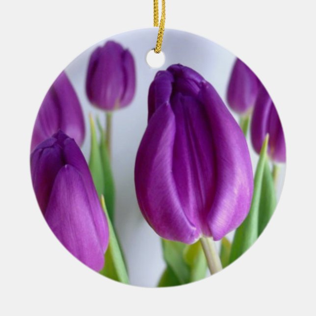 Ornament på tulips (Framsidan)