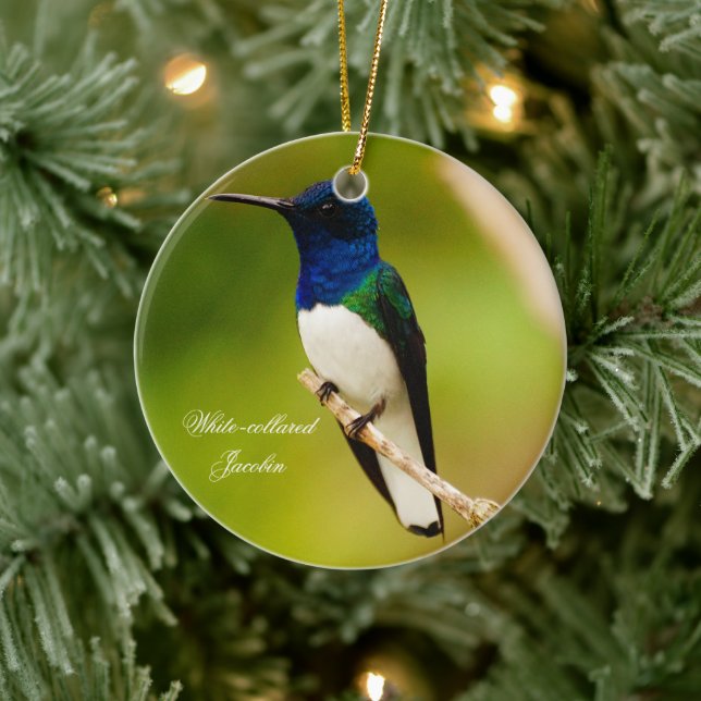 Ornament porträtt i Contemplation Round (Träd)