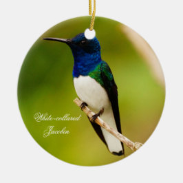 Ornament porträtt i Contemplation Round