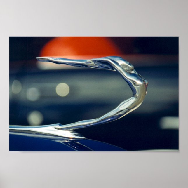 ornament poster (Framsidan)