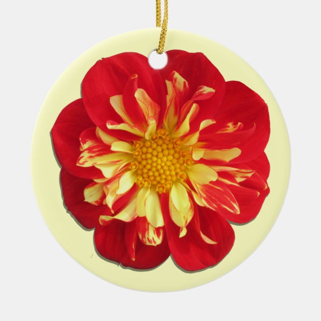 Ornament - StarSister Dahlia (Framsidan)