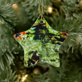 Ornament stjärna,Abstraktens stjärndekanter