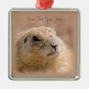 Ornament: Svart Prairie-Hund (Premium Sqr) Julgransprydnad Metall