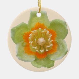 Ornament - Tulip Poplar Tulip på Cream
