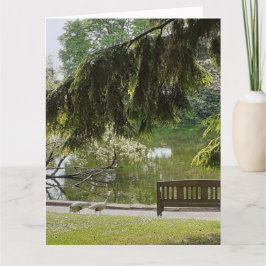 Ornamental Anka Pond Kort