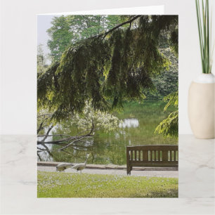 Ornamental Anka Pond Kort