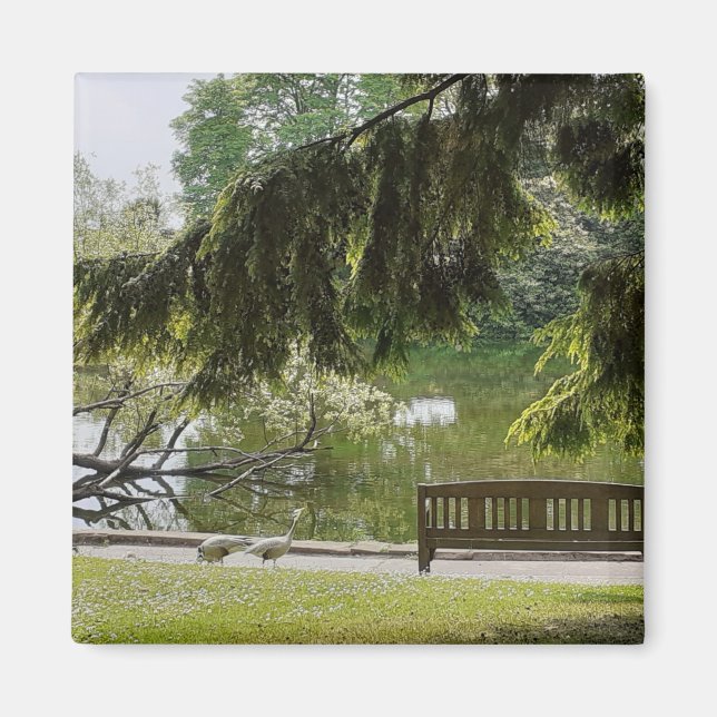 Ornamental Anka Pond Magnet (Framsidan)