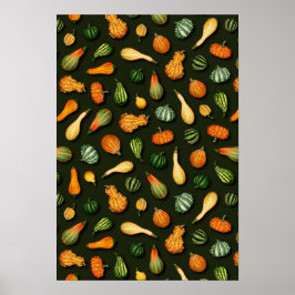 Ornamental Gourds for Autumn, Fall, Thanksgiving Poster