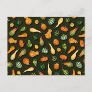 Ornamental Gourds for Autumn, Fall, Thanksgiving Vykort
