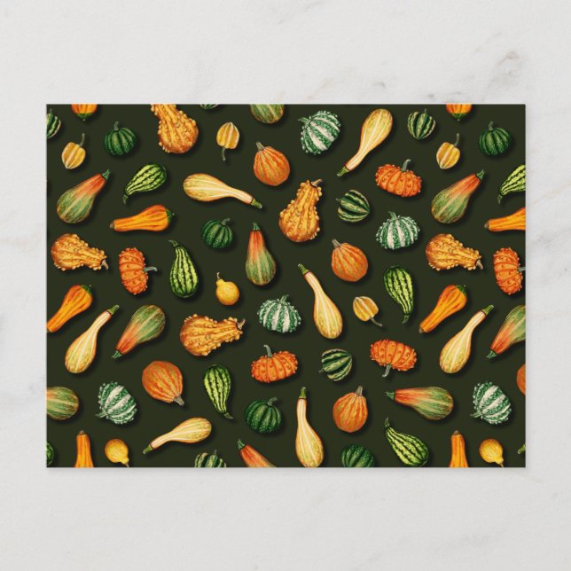 Ornamental Gourds for Autumn, Fall, Thanksgiving Vykort (Framsida)