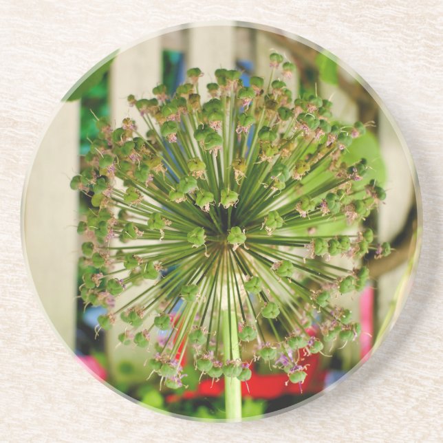 Ornamental Onion Underlägg (Framsidan)