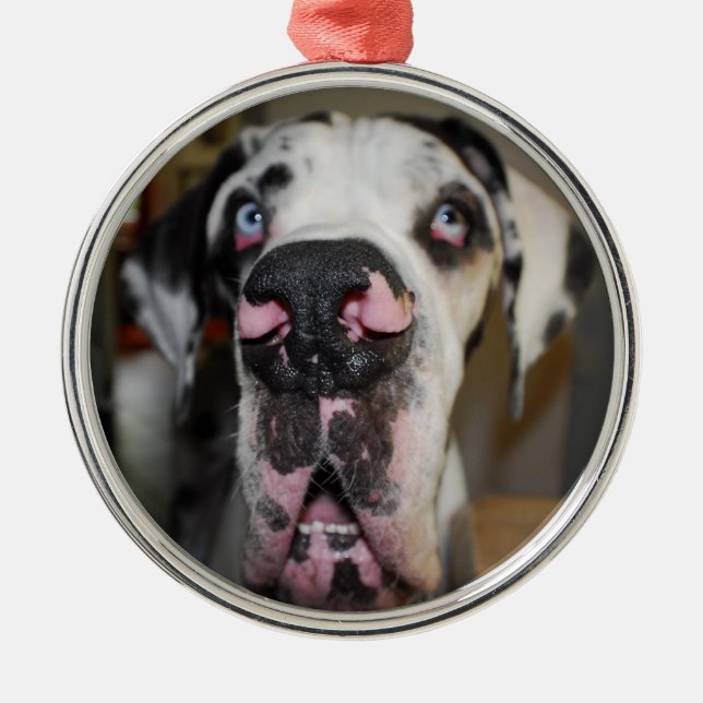 Ornamentdoggen Julgransprydnad Metall (Framsidan)