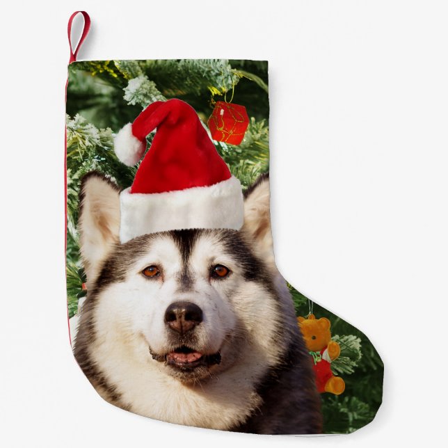 Ornamenterade siberian husky vid Julgran Snögubbe Liten Julstrumpa (Framsidan)
