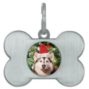 Ornamenterade siberian husky vid Julgran Snögubbe Namnbricka Husdjur
