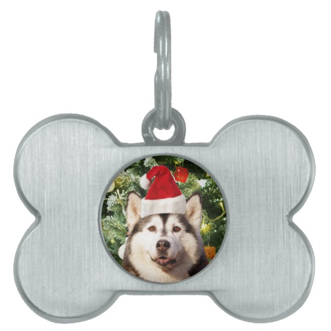 Ornamenterade siberian husky vid Julgran Snögubbe Namnbricka Husdjur (Framsidan)