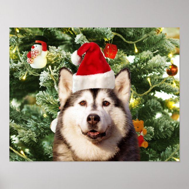 Ornamenterade siberian husky vid Julgran Snögubbe Poster (Framsidan)