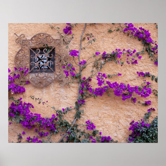 Ornamenterat fönster med bougainvillea poster (Framsidan)