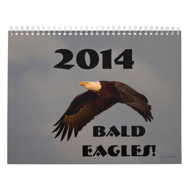 Örnar 2014 för djurlivväggkalender kalender (Omslag)