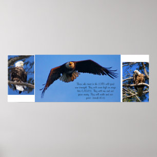 Örnar Poster