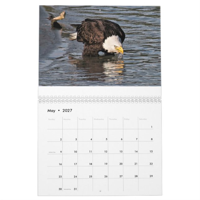 Örnar vid den Tamara kalendern Kalender (May 2027)