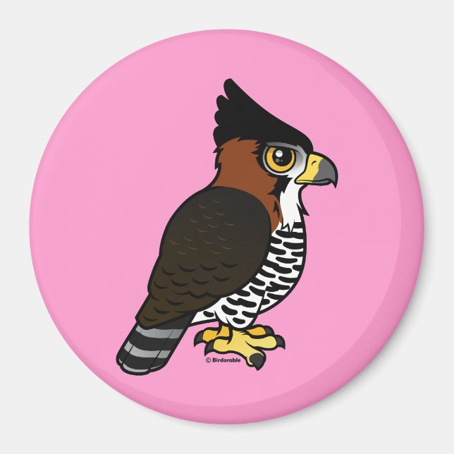 Ornate Hawk-Eagle Magnet (Framsidan)