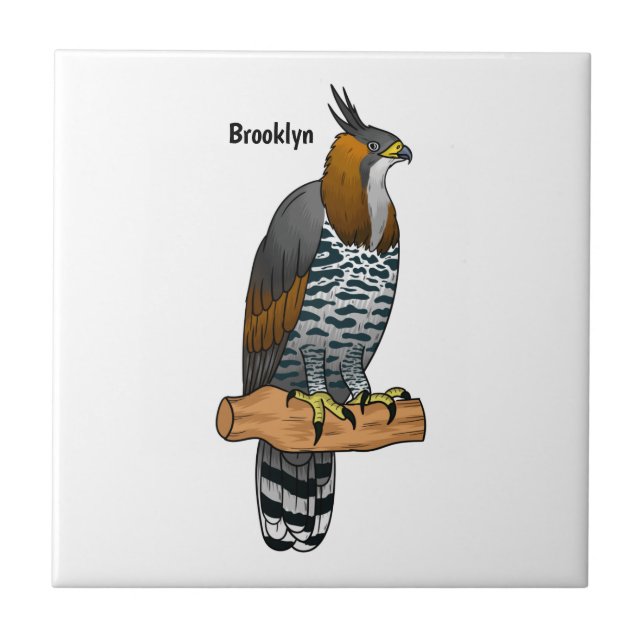 Ornate hawk eagle-tecknad illustration kakelplatta (Framsidan)