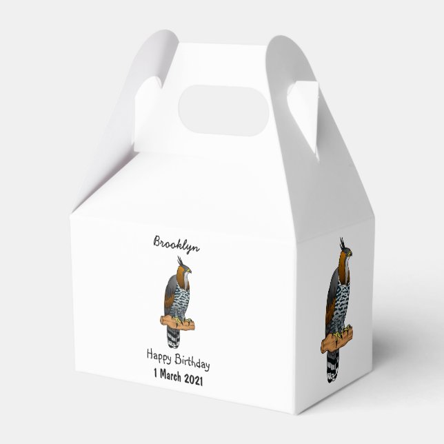 Ornate hawk eagle-tecknad illustration presentaskar (Framsidan Sidan)