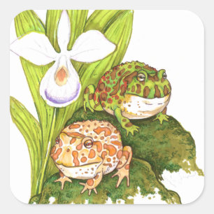Ornate Horned Frogs Fyrkantigt Klistermärke