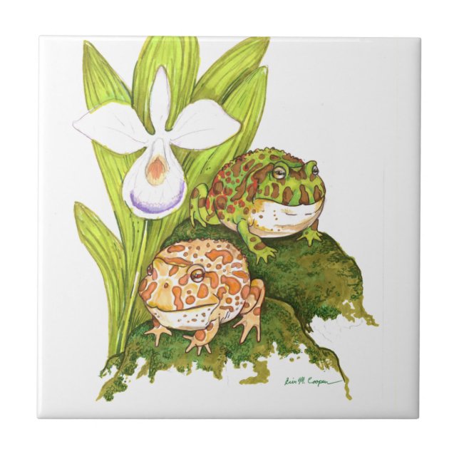 Ornate Horned Frogs Kakelplatta (Framsidan)