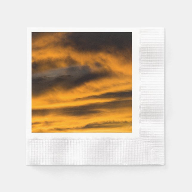 örnbrunn pappersservett (Framsidan)