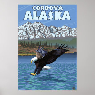 Örndykning - Cordova, Alaska Poster