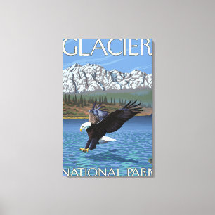 Örndykning - glaciärnationalpark, MT Canvastryck