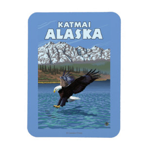 Örndykning - Katmai, Alaska Magnet