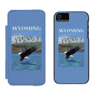 Örndykning - Wyoming