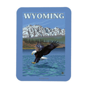 Örndykning - Wyoming Magnet