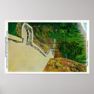 Örnen bygga bo observatoriumet på Columbia River Poster