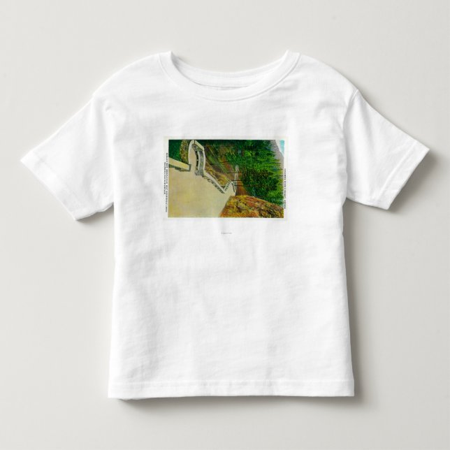 Örnen bygga bo observatoriumet på Columbia River Tee Shirt (Framsida)