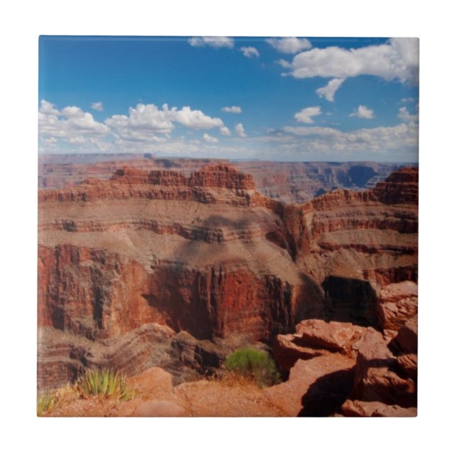 Örnen pekar kakelplatta (Framsidan)