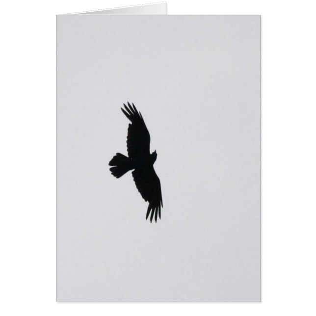 Örnen Soar Hälsningskort (Framsidan)