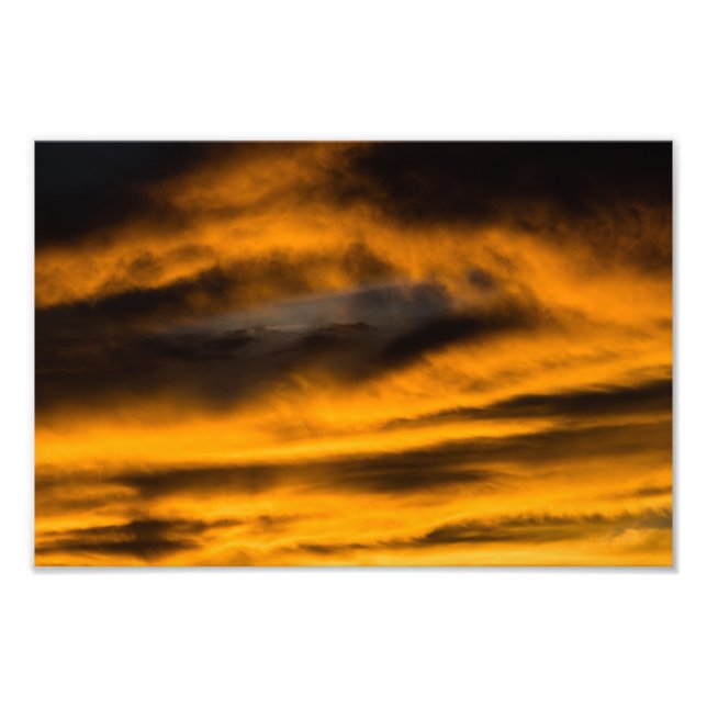 örnhängivenhet fototryck (Framsidan)