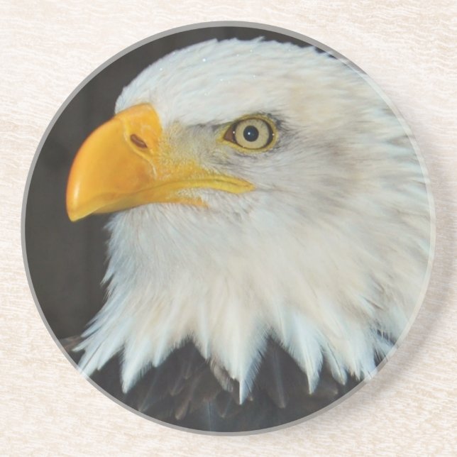 Örnhuvudkustfartyg Underlägg (Framsidan)