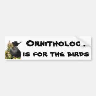 Ornithology är för fåglarna gal på träd bildekal