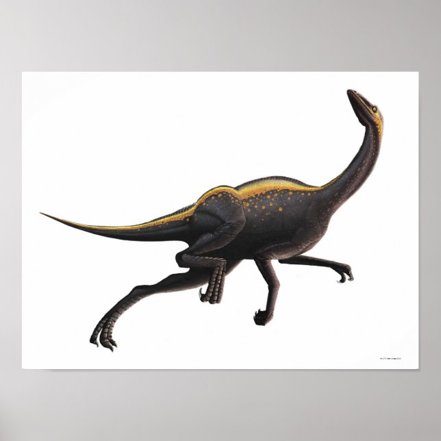 Ornithomimus Poster (Framsidan)